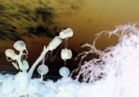 /album/gsw-forroo/kj-1-1-jpg/